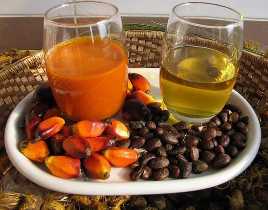 Export Grade Crude Palm Oil